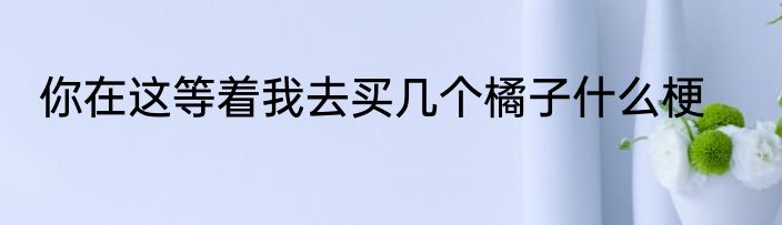 你在这等着我去买几个橘子什么梗