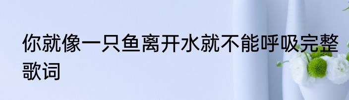你就像一只鱼离开水就不能呼吸完整歌词