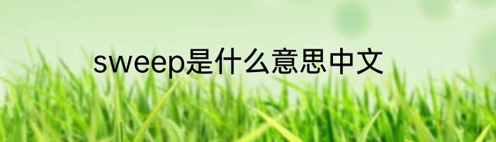 sweep是什么意思中文