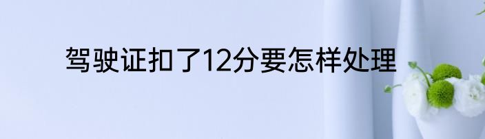 驾驶证扣了12分要怎样处理