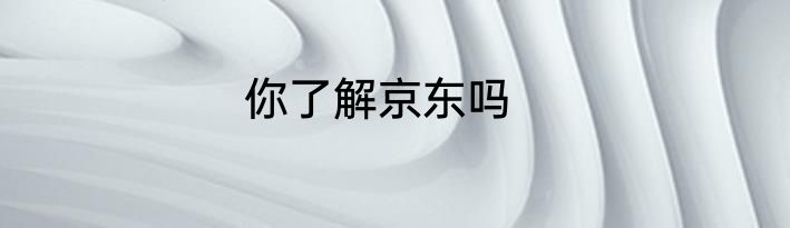 你了解京东吗