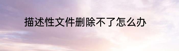 描述性文件删除不了怎么办