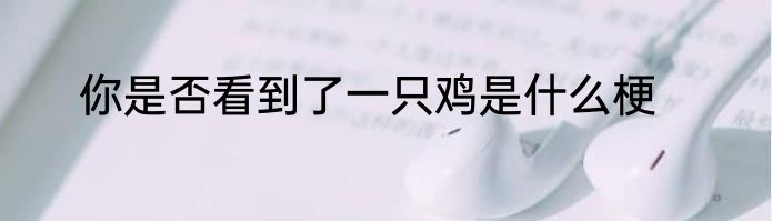 你是否看到了一只鸡是什么梗