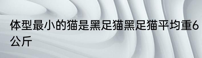 体型最小的猫是黑足猫黑足猫平均重6公斤