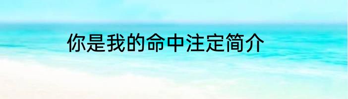 你是我的命中注定简介