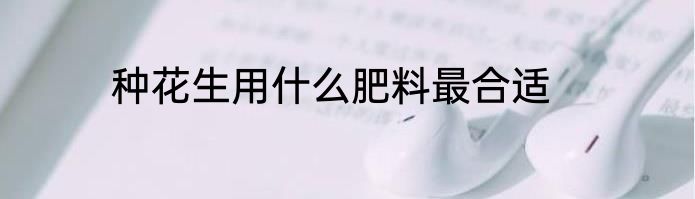 种花生用什么肥料最合适