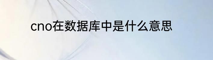 cno在数据库中是什么意思