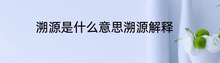 溯源是什么意思溯源解释