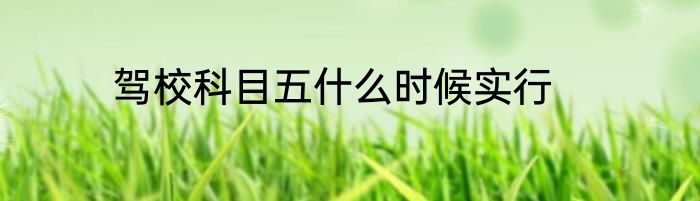 驾校科目五什么时候实行