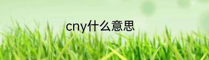 cny什么意思