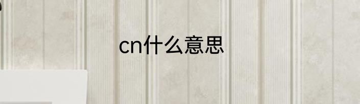 cn什么意思