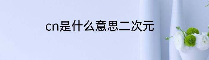 cn是什么意思二次元