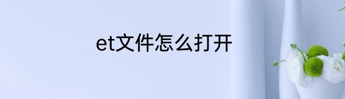 et文件怎么打开
