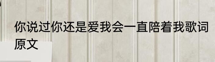 你说过你还是爱我会一直陪着我歌词原文