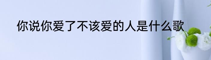 你说你爱了不该爱的人是什么歌