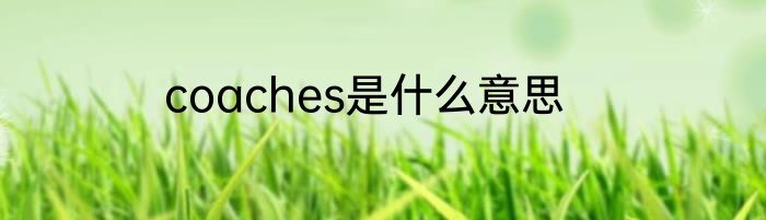 coaches是什么意思