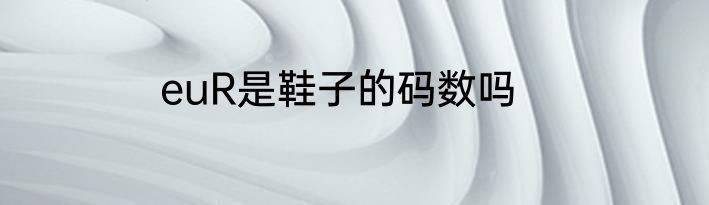 euR是鞋子的码数吗