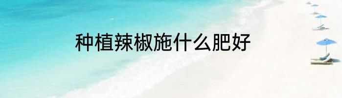 种植辣椒施什么肥好