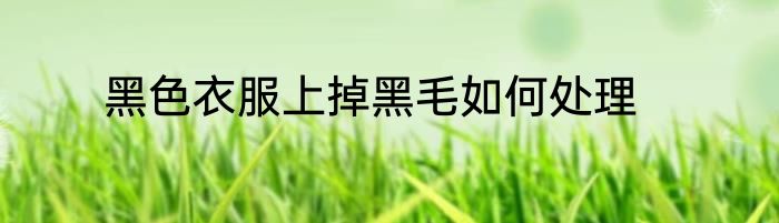 黑色衣服上掉黑毛如何处理