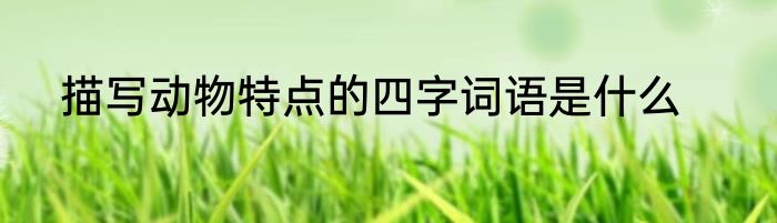 描写动物特点的四字词语是什么
