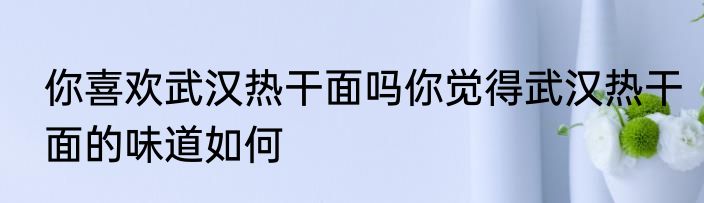 你喜欢武汉热干面吗你觉得武汉热干面的味道如何