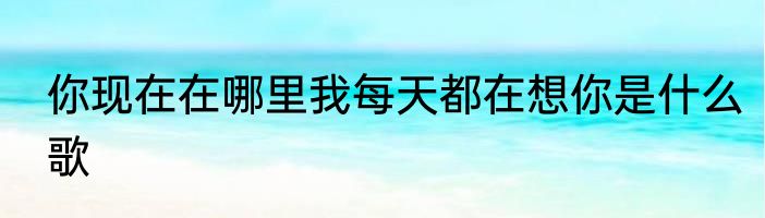 你现在在哪里我每天都在想你是什么歌