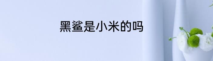 黑鲨是小米的吗