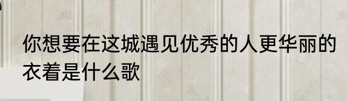 你想要在这城遇见优秀的人更华丽的衣着是什么歌