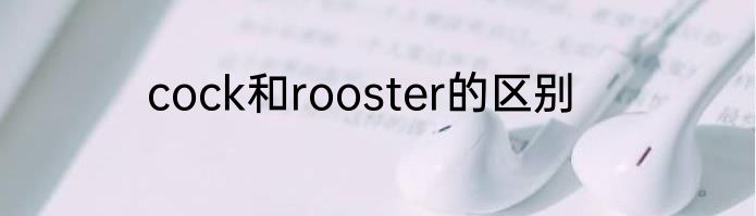 cock和rooster的区别