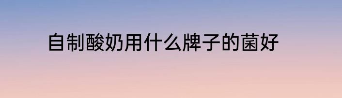 自制酸奶用什么牌子的菌好