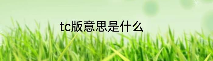 tc版意思是什么