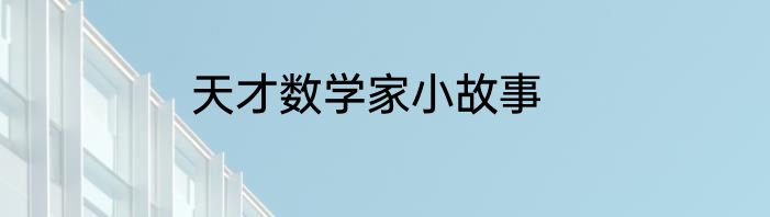 天才数学家小故事