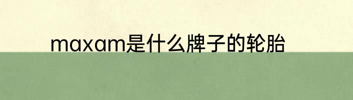 maxam是什么牌子的轮胎