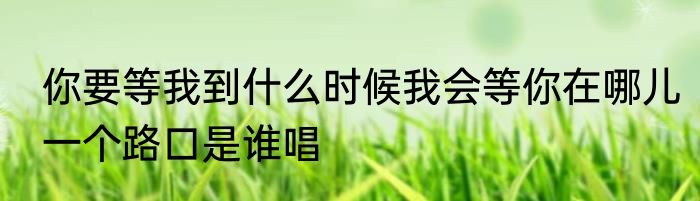 你要等我到什么时候我会等你在哪儿一个路口是谁唱