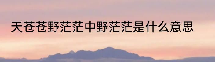 天苍苍野茫茫中野茫茫是什么意思