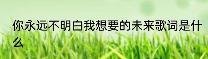 你永远不明白我想要的未来歌词是什么