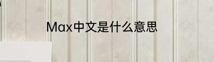 Max中文是什么意思