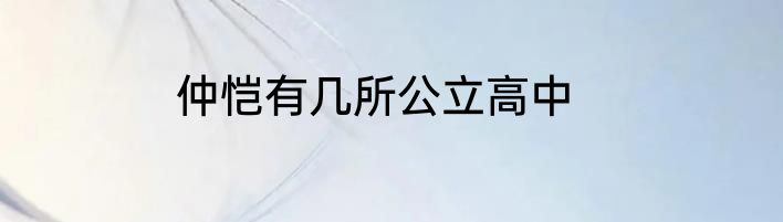 仲恺有几所公立高中