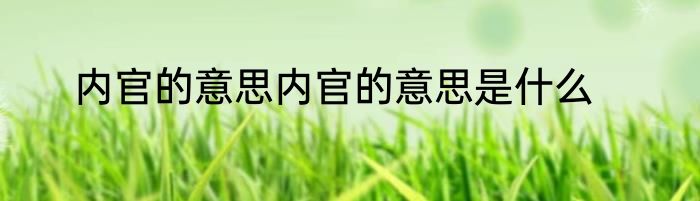 内官的意思内官的意思是什么