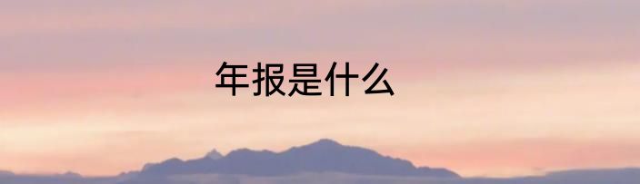 年报是什么