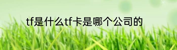 tf是什么tf卡是哪个公司的