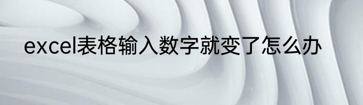 excel表格输入数字就变了怎么办
