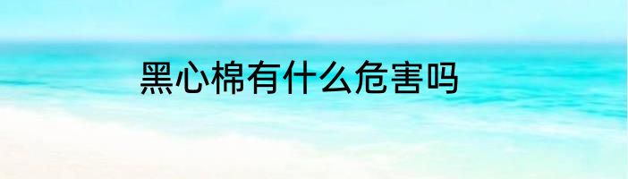 黑心棉有什么危害吗