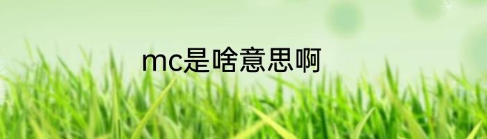mc是啥意思啊