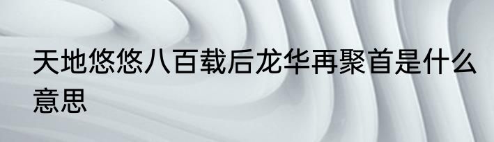 天地悠悠八百载后龙华再聚首是什么意思