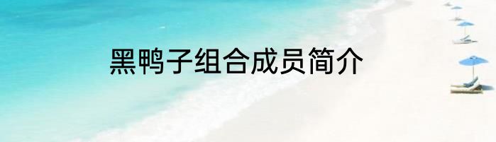 黑鸭子组合成员简介