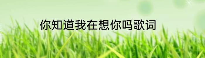 你知道我在想你吗歌词