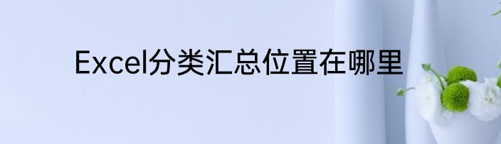 Excel分类汇总位置在哪里