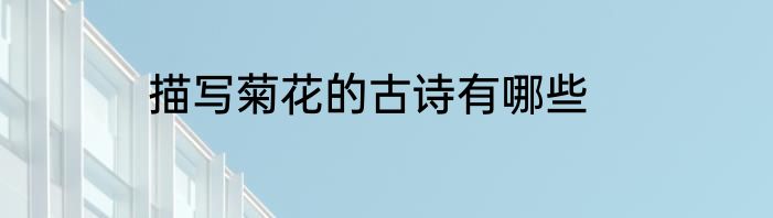描写菊花的古诗有哪些