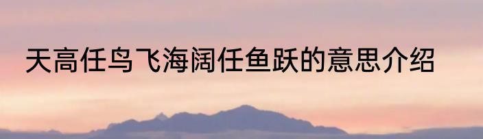 天高任鸟飞海阔任鱼跃的意思介绍